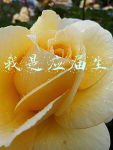 我是应届生