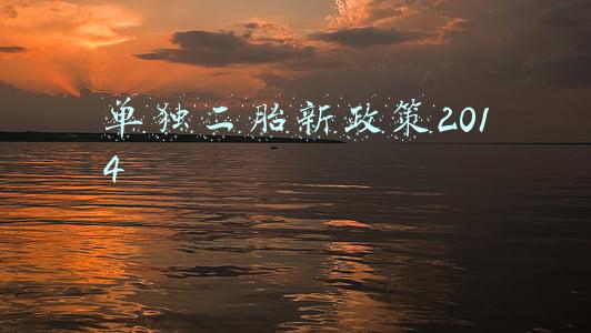 单独二胎新政策2014