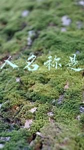 纳税人名称是什么