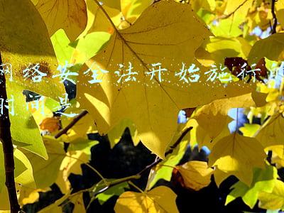 网络安全法开始施行的时间是
