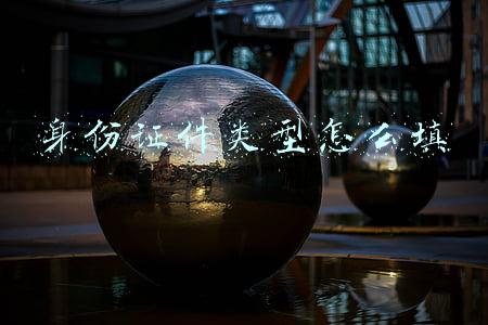 幼儿园的身份证件类型怎么填(中华人民共和国未成年人保护法)