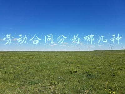 劳动合同分为哪几种