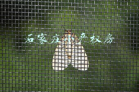 石家庄小产权房2019年最新政策(2019目前小产权房怎么清理)