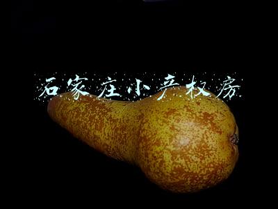 石家庄小产权房