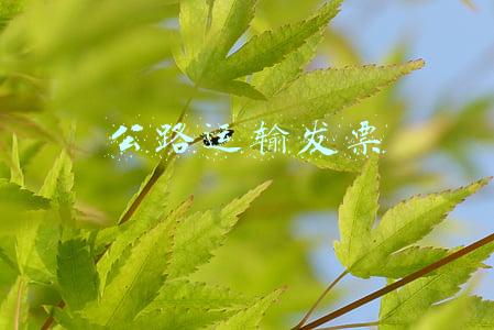 公路运输发票