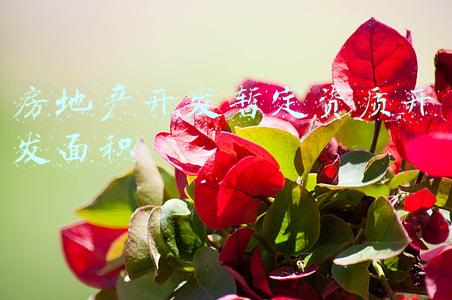 房地产开发暂定资质开发面积