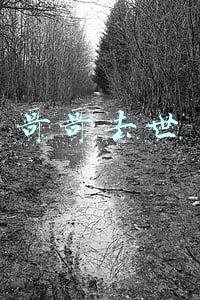 哥哥去世