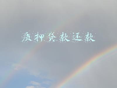 质押贷款还款