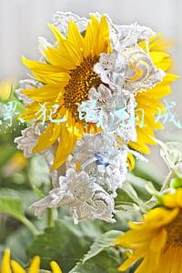 一般累犯的构成条件