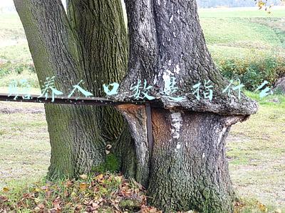 赡养人口数是啥(我国老年人口抚养比为19.70%)