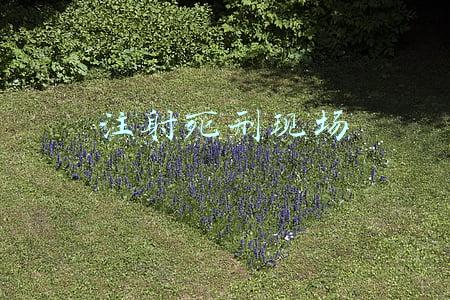 注射死刑现场的人是什么心情(人在死亡前的真实感受是什么样的)