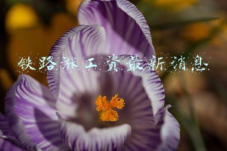 铁路涨工资最新消息
