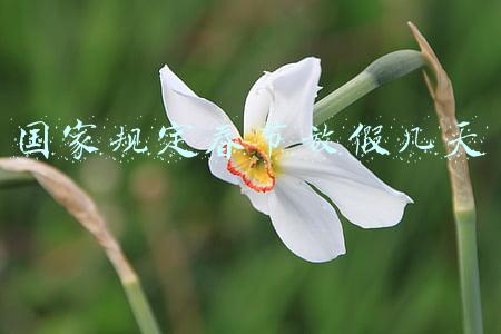 国家规定春节放假几天