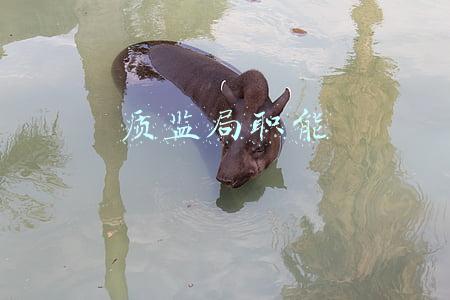 质监局职能