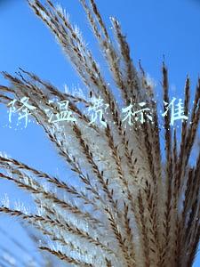 江苏省防暑降温费标准(每月300元连发4个月，江苏省高温津贴6月起发放)