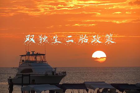 双独生二胎政策