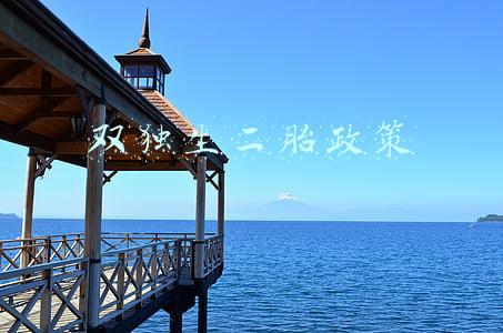 双独生二胎政策