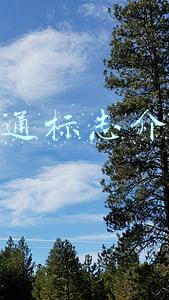交通标志介绍她在哪里和他们的作用用英语表达(（受权发布）地名管理条例)