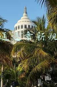 交通违章新规定
