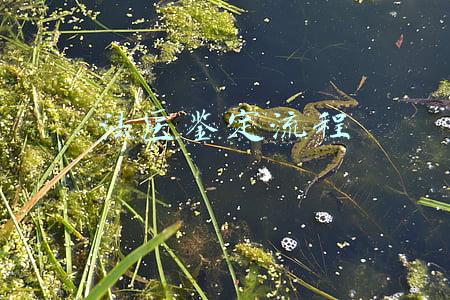 法医鉴定流程