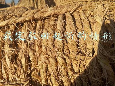裁定驳回起诉的情形