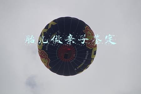 胎儿做亲子鉴定