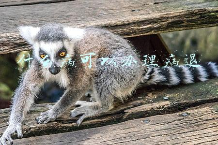 什么病可以办理病退2021(2022年上半年职工病退开始申报)