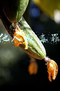 容留他人吸毒罪量刑