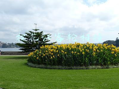 松花江客轮相撞