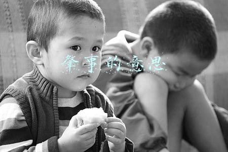 肇事的意思