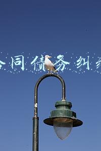 合同债务纠纷