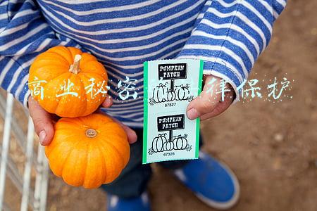商业秘密的法律保护