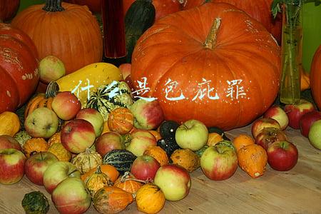 什么是包庇罪
