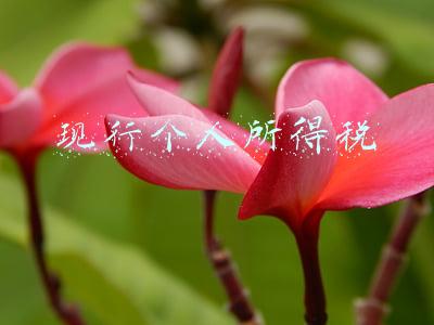 现行个人所得税