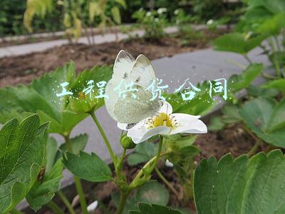 工程供货合同范本(办公设备供货合同范本)