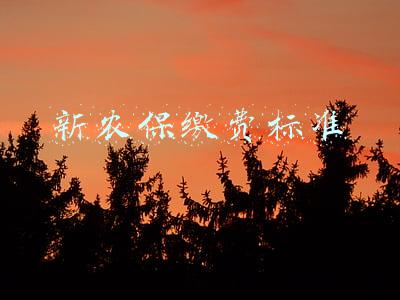 江苏省农村新农保缴费标准(江苏省城乡居保基础养老金最低标准提高至187元/月)