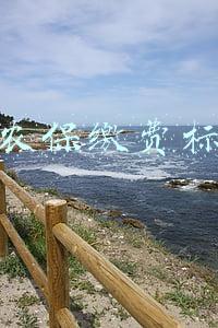新农保缴费标准