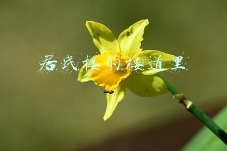 居民楼的楼道里