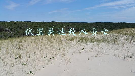 试驾奥迪致人身亡