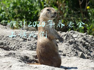 预计2020年养老金上调比例