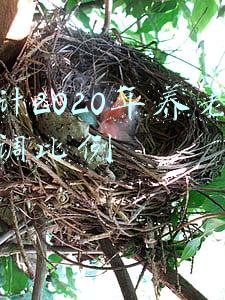 2020年养老金上调多少(2020年养老金上涨5% 养老金迎来16连涨)