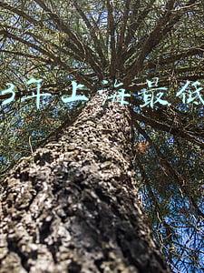 2013年上海最低工资
