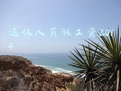 退休人员涨工资2021年(2021年继续统一调整企业和机关事业单位退休人员基本养老金)