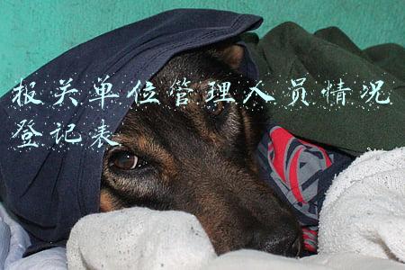 报关单位管理人员情况登记表