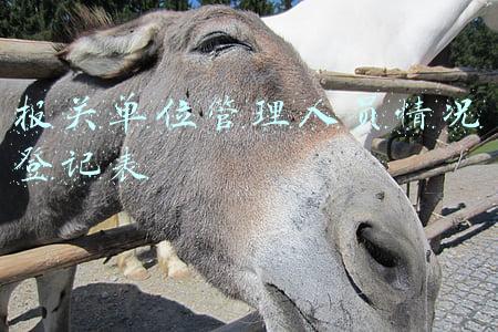 报关单位管理人员情况登记表