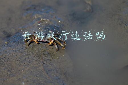 开游戏厅违法吗