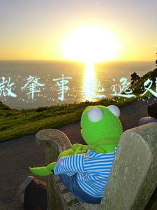 轻微肇事逃逸处罚