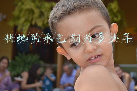 耕地的承包期为多少年