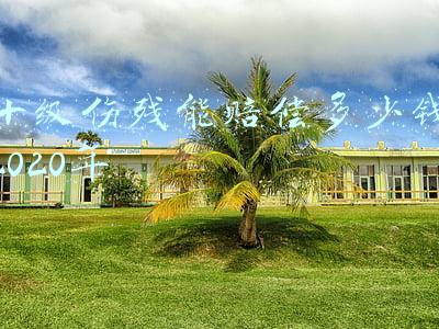 十级伤残能赔偿多少钱2020年