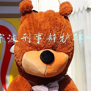 宁波刑事辩护律师